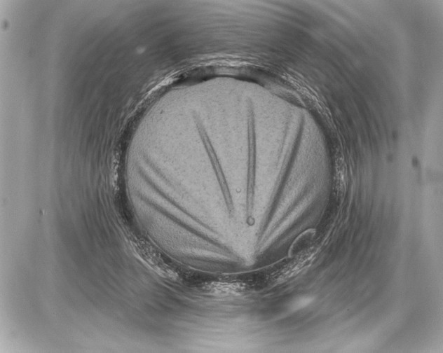 X0000085820255200704091639