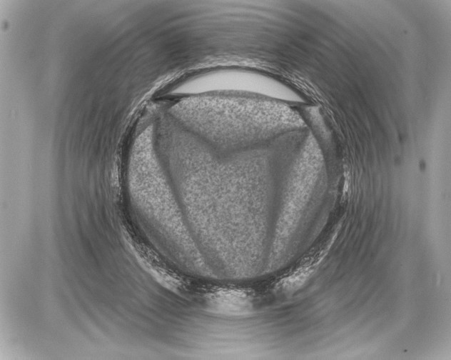 X0000085820256200704091639