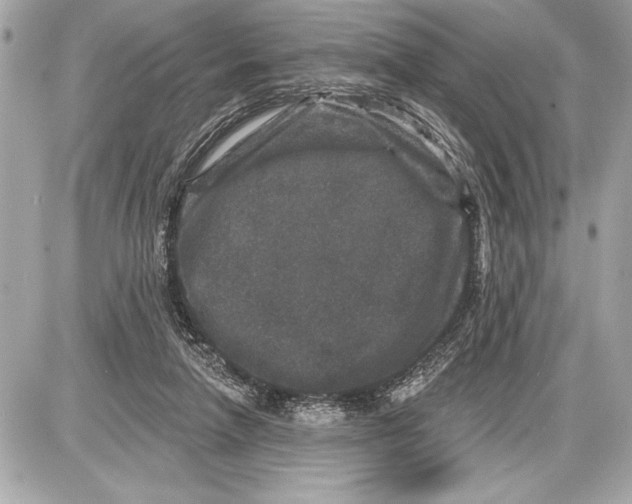 X0000085820258200704091640