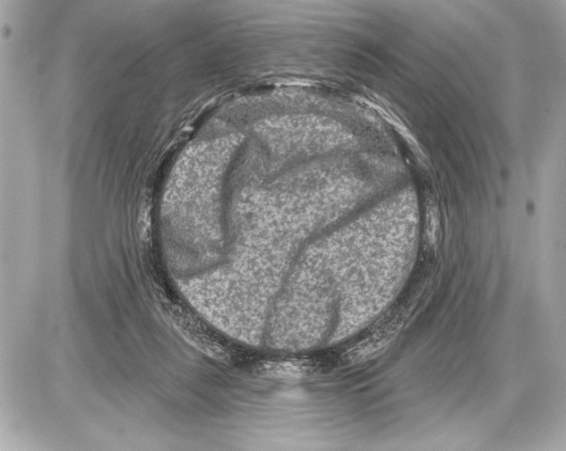 X0000085820259200704091640