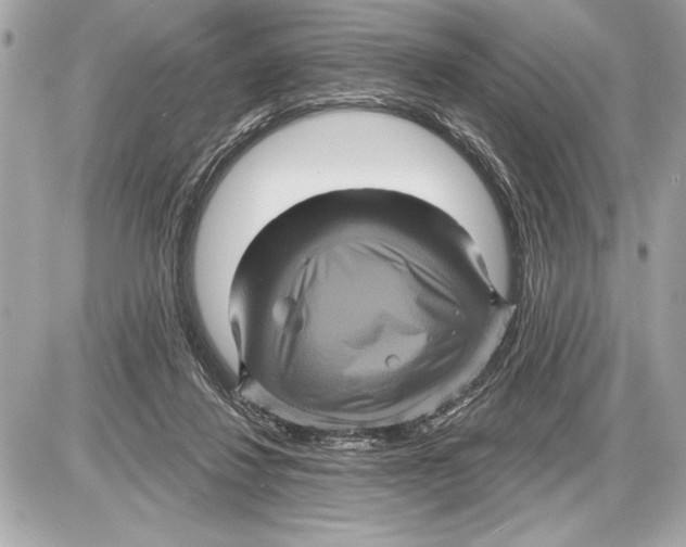 X0000085820260200704091640