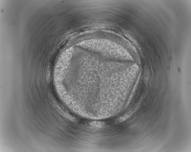 X0000085820261200704091640