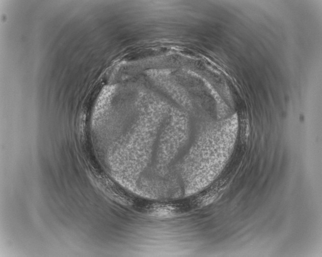 X0000085820263200704091640