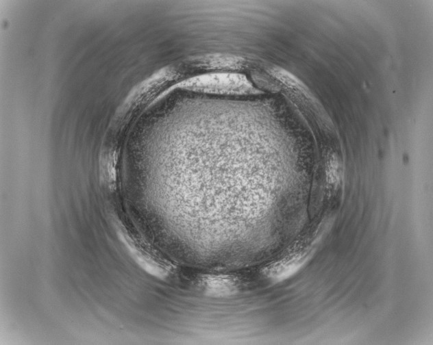 X0000085820264200704091640