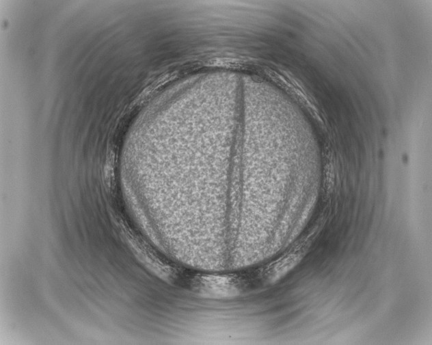 X0000085820265200704091640