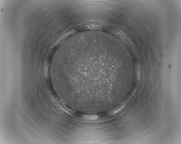 X0000085820266200704091640