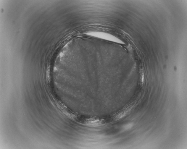 X0000085820267200704091640