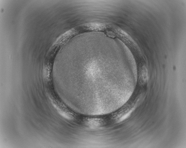 X0000085820268200704091640