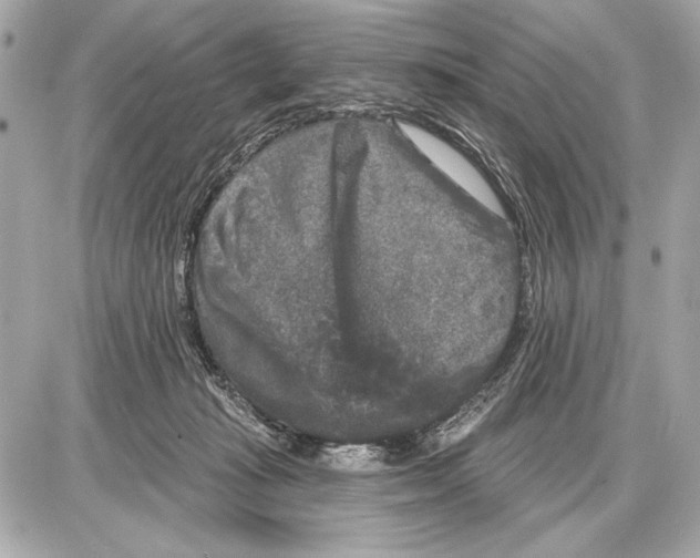 X0000085820269200704091640