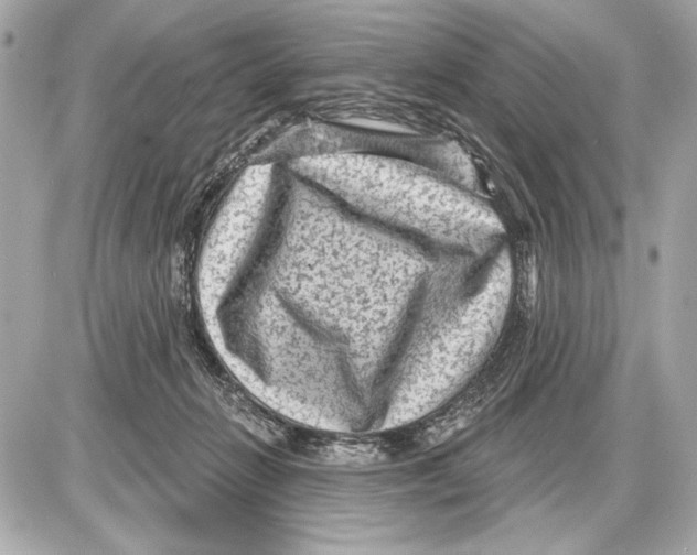 X0000085820270200704091640