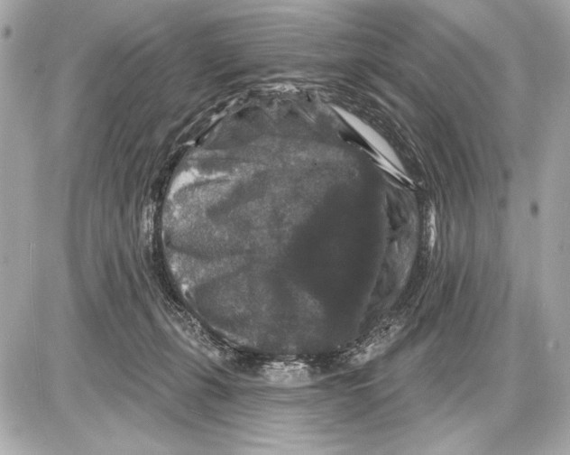 X0000085820271200704091640