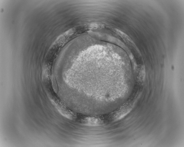 X0000085820272200704091640