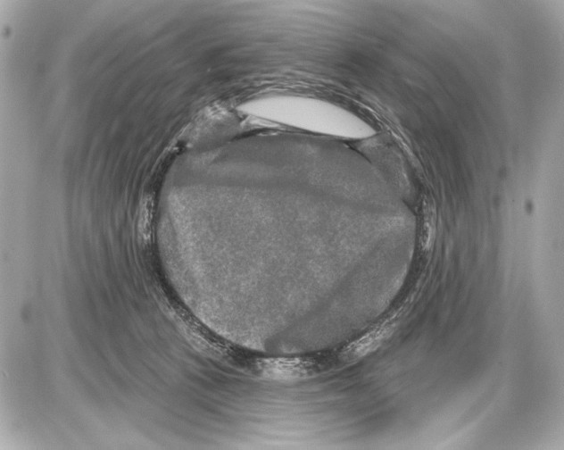 X0000085820273200704091640