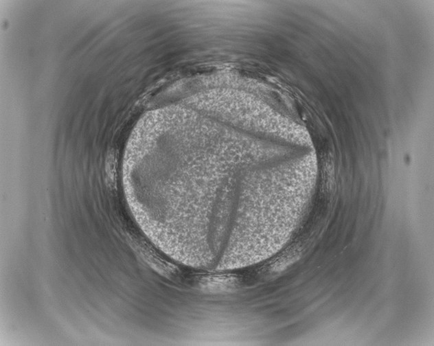 X0000085820274200704091640