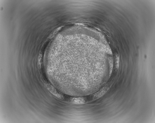 X0000085820275200704091640