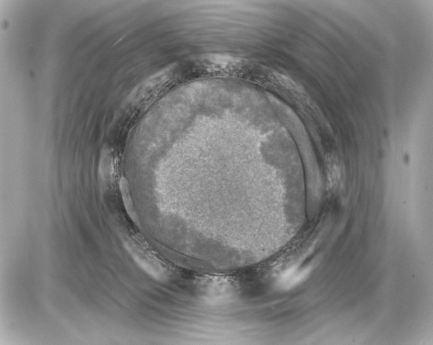 X0000085820276200704091640