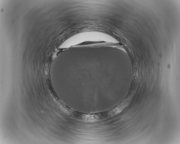 X0000085820277200704091640