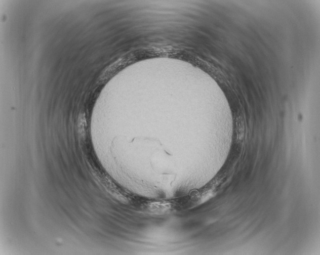 X0000085820279200704091640