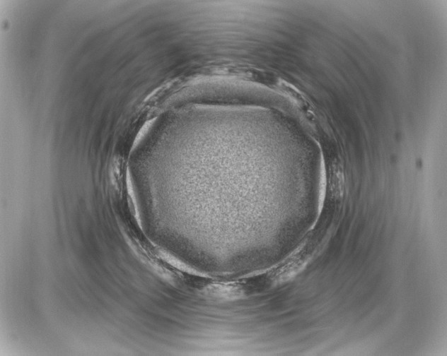 X0000085820280200704091640