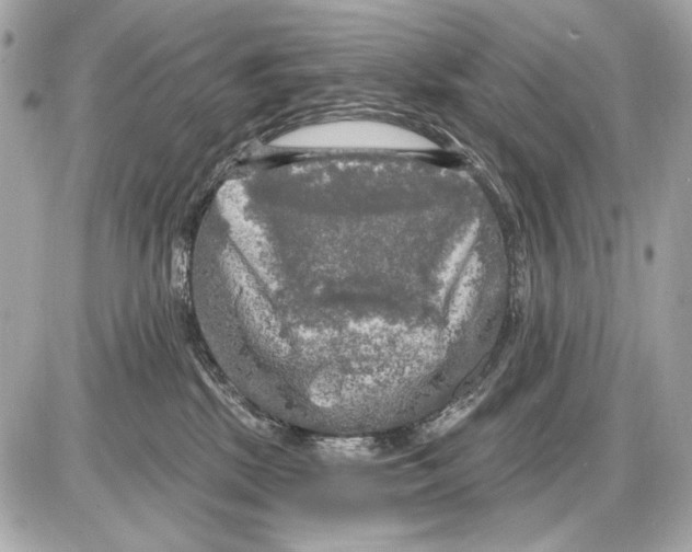 X0000085820281200704091640