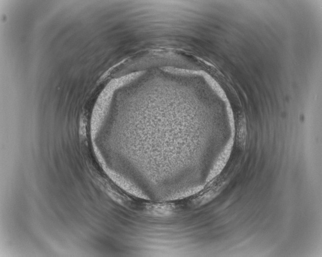 X0000085820282200704091640