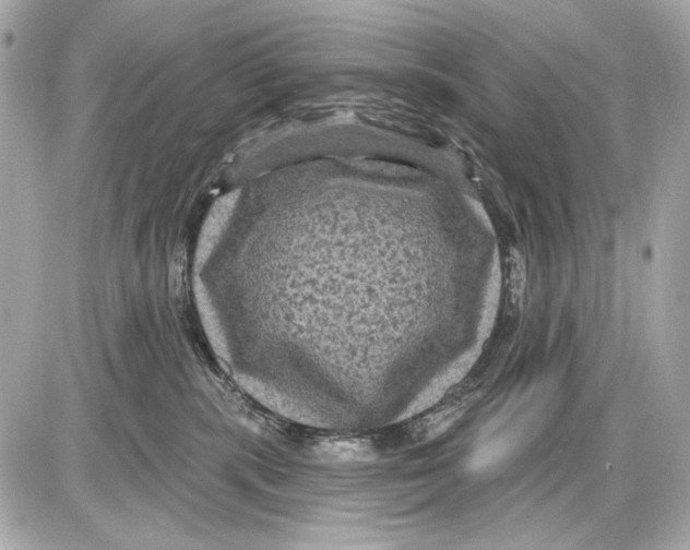 X0000085820283200704091640