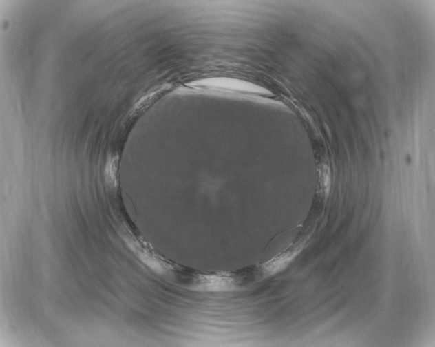 X0000085820286200704091640