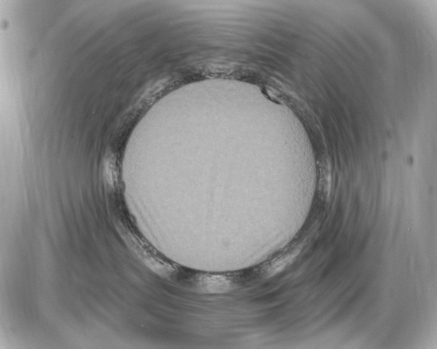 X0000085820287200704091640