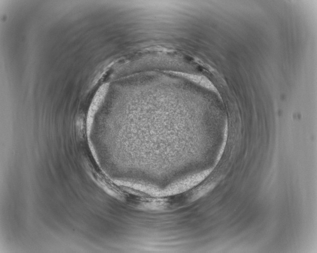 X0000085820288200704091640