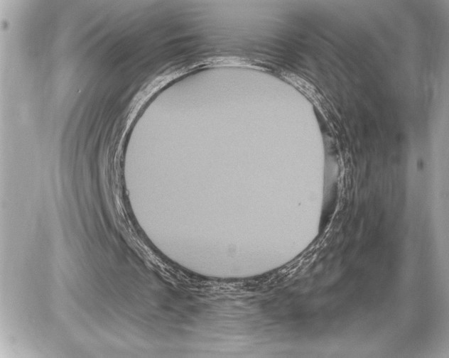 X0000085820289200704091639