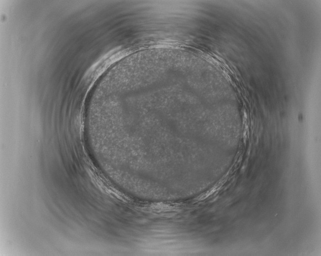 X0000085820290200704091639