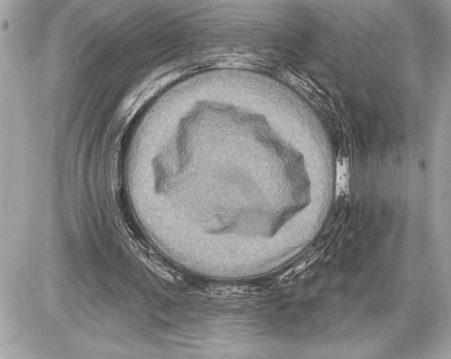 X0000085820291200704091639