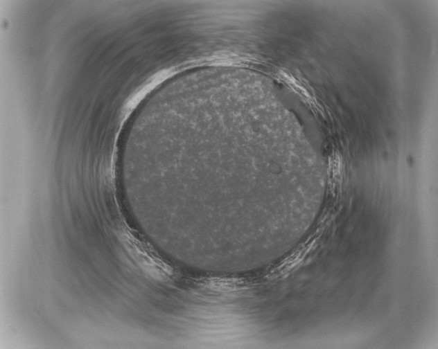 X0000085820292200704091639