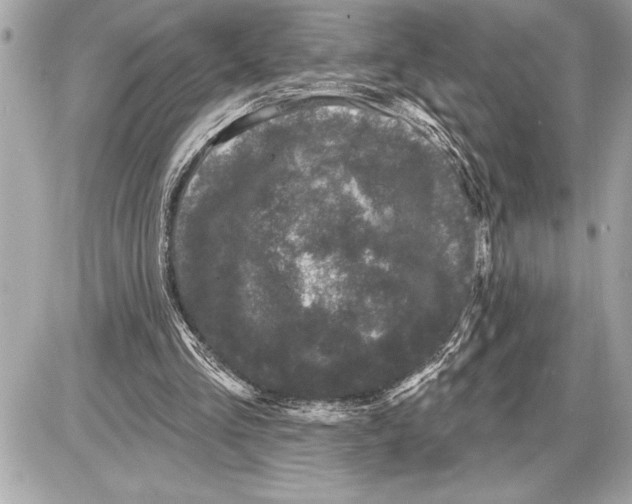 X0000085820293200704091639