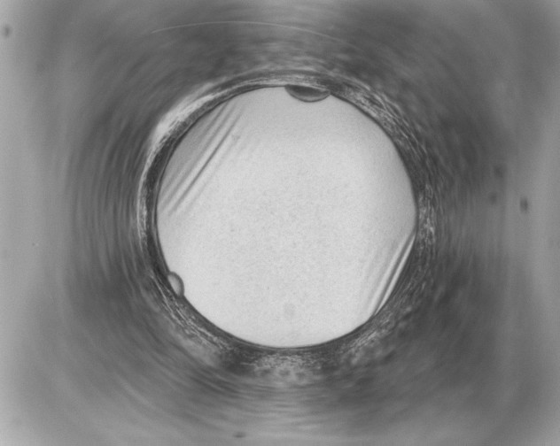 X0000085820294200704091639