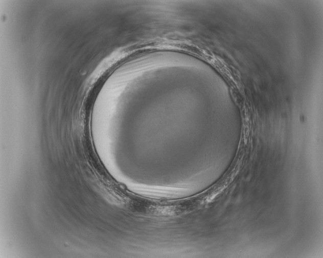 X0000085820295200704091639