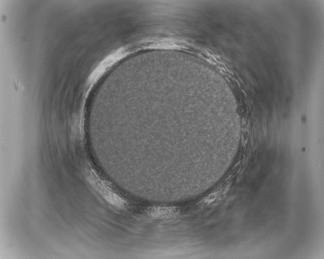 X0000085820296200704091639