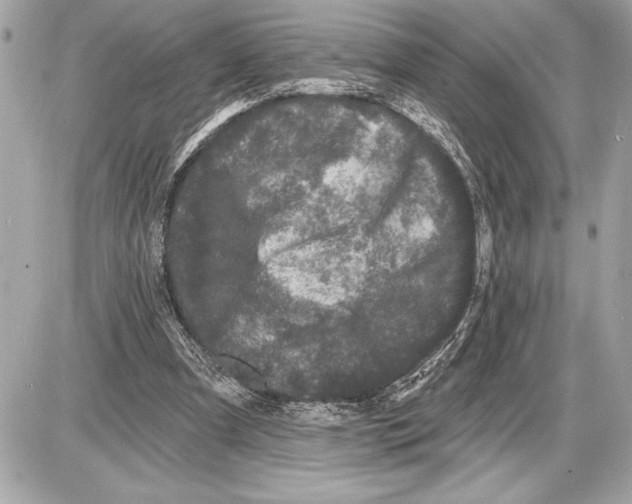 X0000085820297200704091639