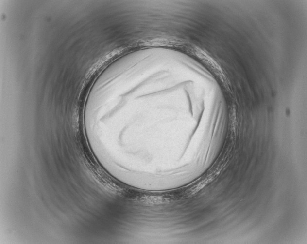 X0000085820298200704091639