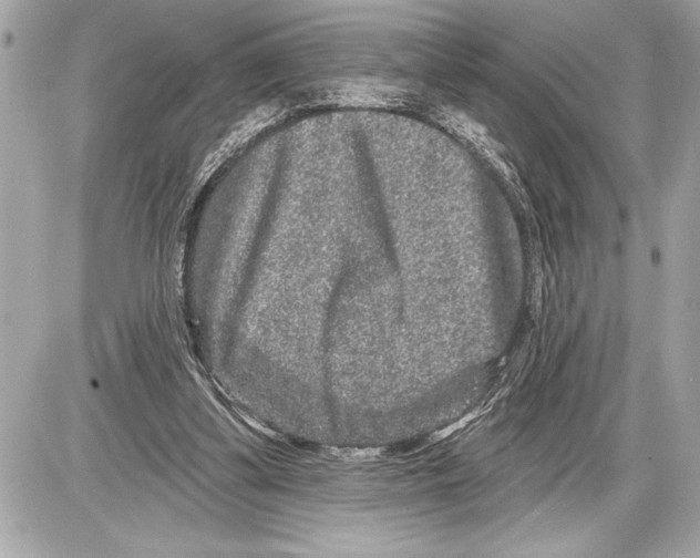 X0000085820299200704091639