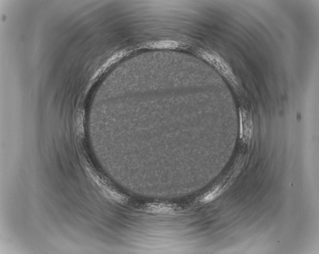 X0000085820300200704091639