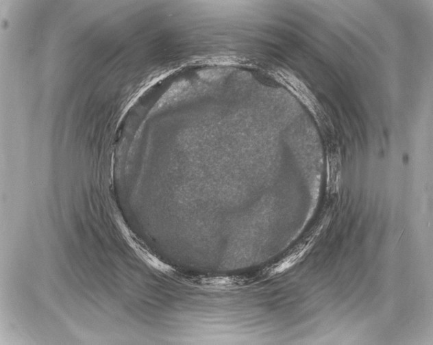 X0000085820301200704091639