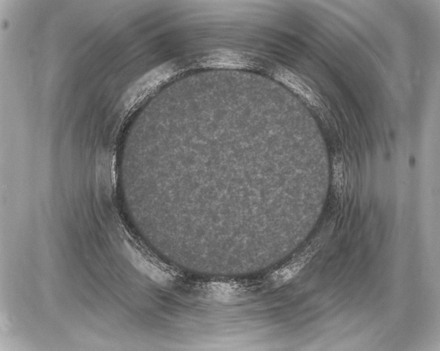 X0000085820302200704091639