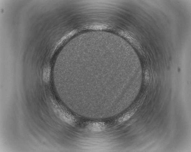 X0000085820304200704091639