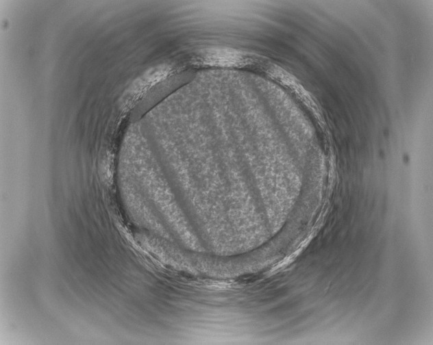 X0000085820305200704091639