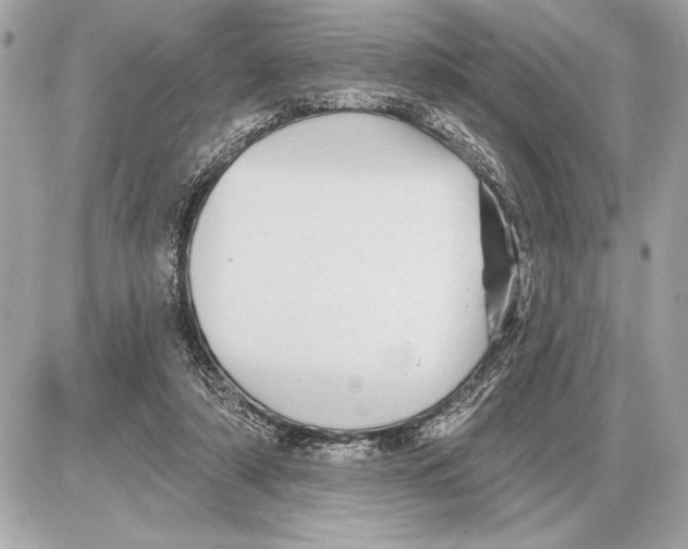 X0000085820306200704091639