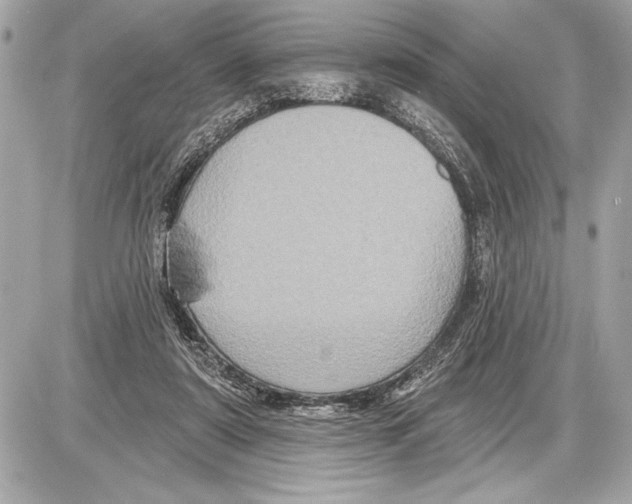 X0000085820307200704091639