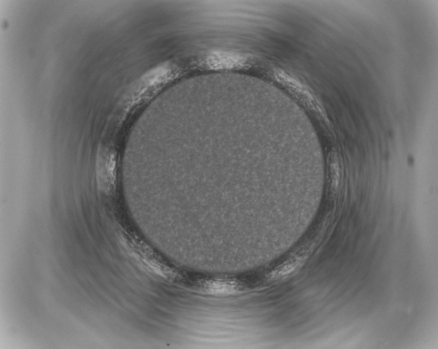 X0000085820308200704091639