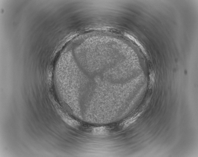 X0000085820309200704091639