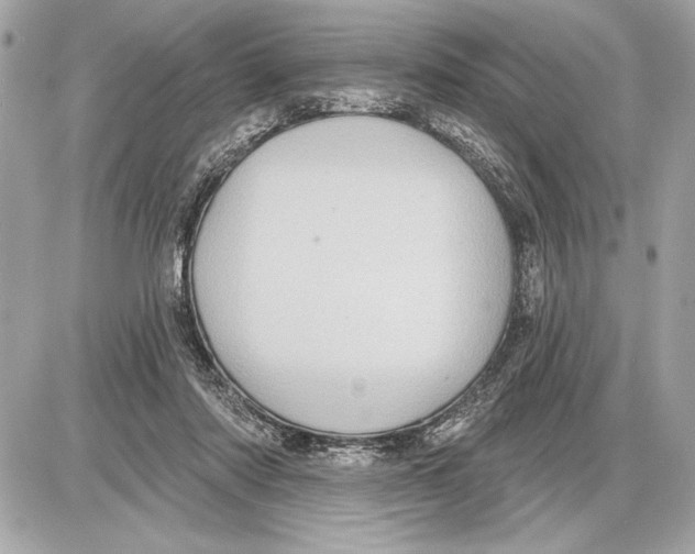 X0000085820310200704091639